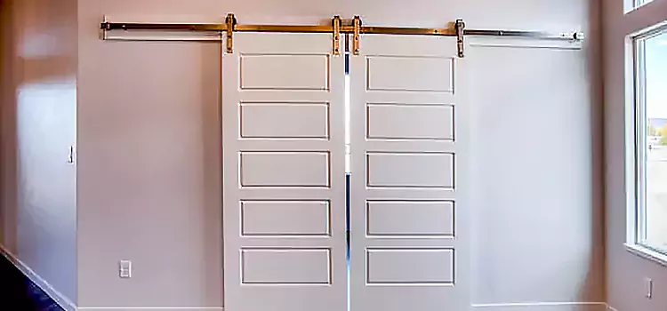 Glass Barn Door with Installation Hardware Kit Texas City